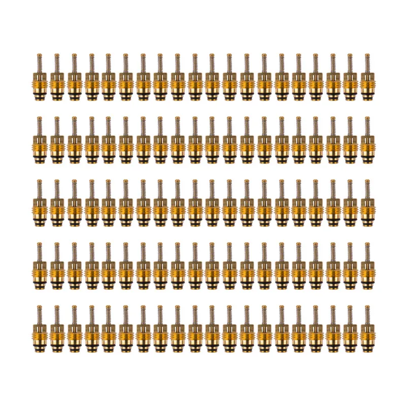 

100pcs Valve Core for Buick Mondeo Excellent Sail, GL8, Regal, LaCrosse, Hide
