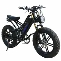 Vélo Électrique Rétro de 20 Pouces, 750W, 48V, avec Batterie Parfaite, pour Homme et Femme 1