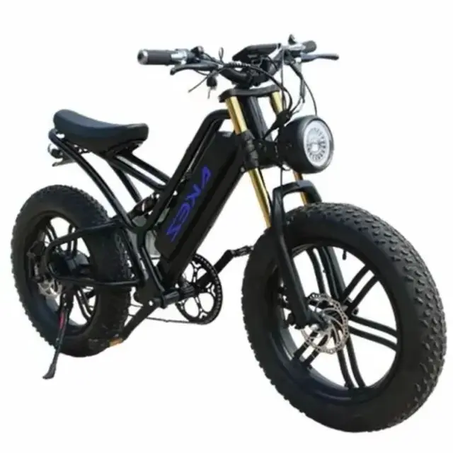 Vélo Électrique Rétro de 20 Pouces, 750W, 48V, avec Batterie Parfaite, pour Homme et Femme 1