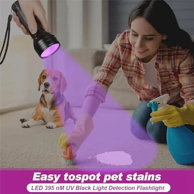 SB7 Spirit Box With FM + AM And Speaker For Ghost Hunting