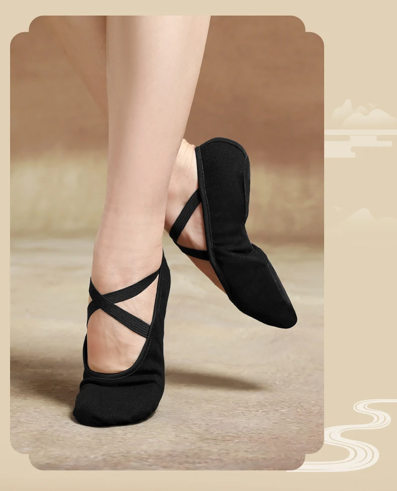 Ballett Tanz Schuhe für Frauen Mädchen Split Weiche Sohle Stretch Leinwand Ballett Hausschuhe Elastischen Stoff Professionelle Ballett Schuhe – Detail 4