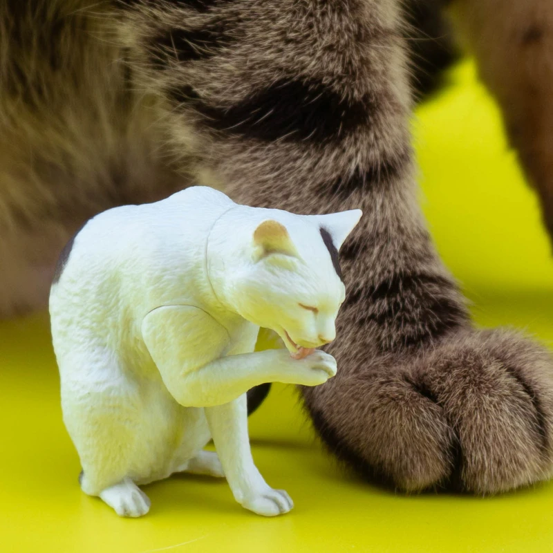 Ϻ Űź  ĸ 峭, Ϳ   ̺ ǰ,  ,  𸮱ġ 