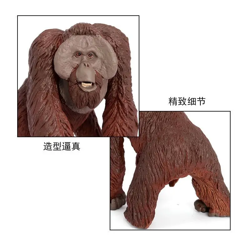 オランウータンさん専用 楽天市場】Wild Republic ワイルドリパブリック ぬいぐるみ12250