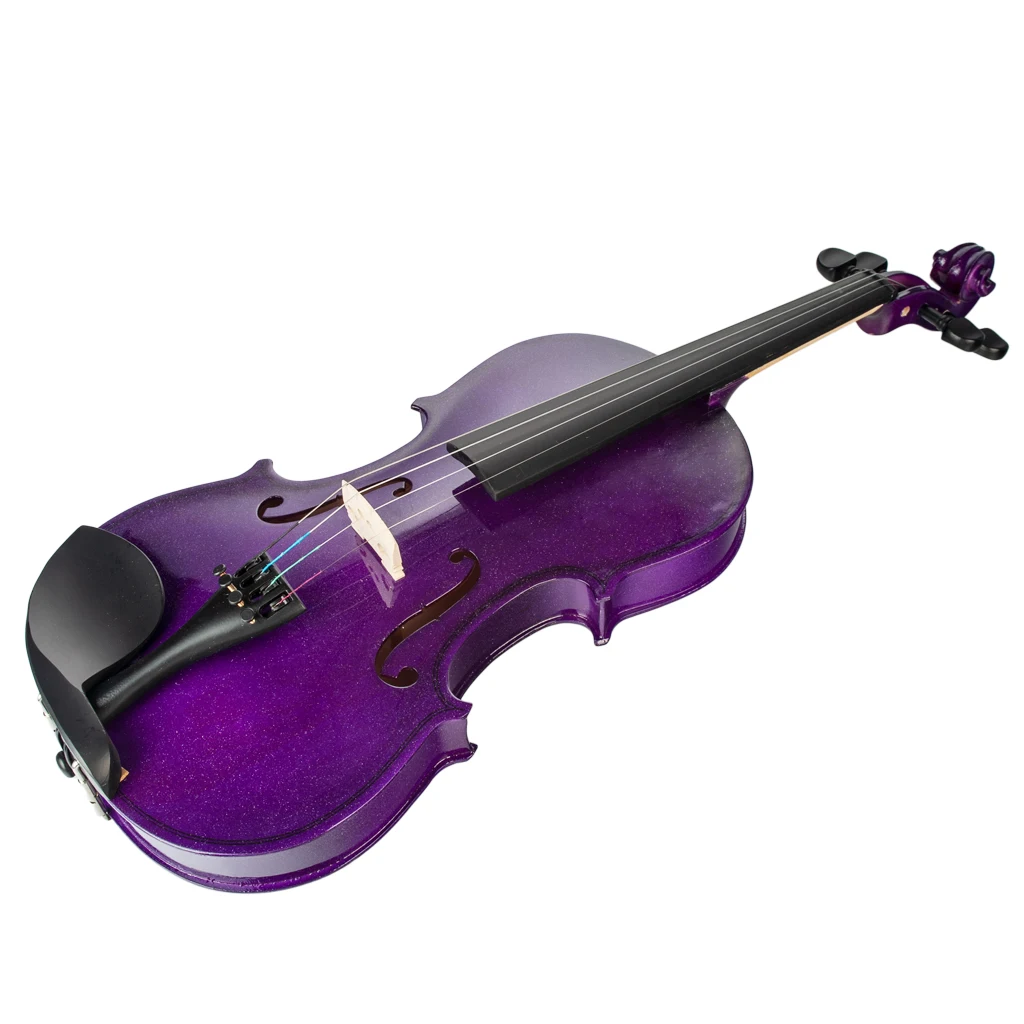 NAOMI Acoustic Violin 4/4 Full Size Violin Fiddle Solid Wood For Students Beginners New