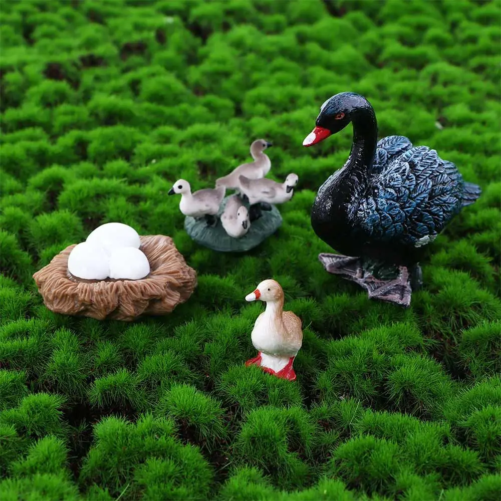

Science Poultry Growth Cycle Hen Swan Model Cock White Goose Growth Cycle Simulation Life Cycle Figures Cycle Duck Figurine