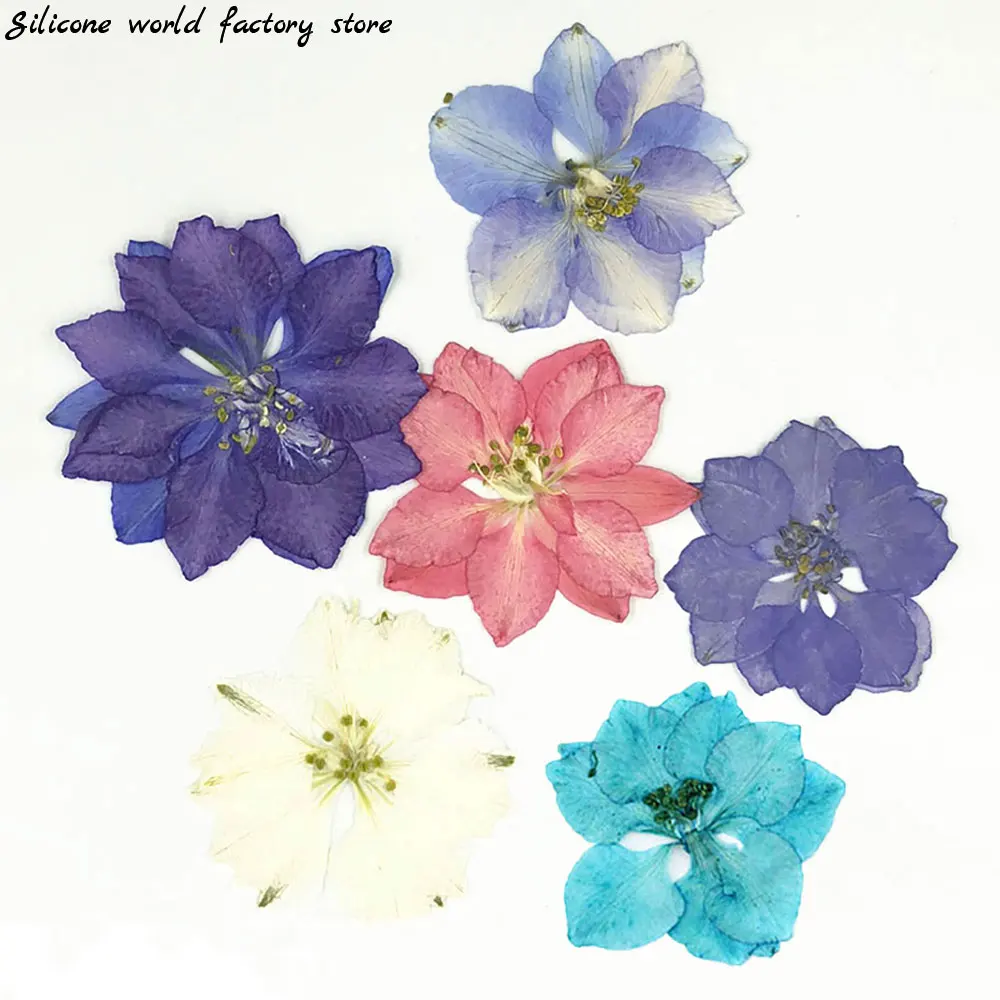 

Silicone world Real Dried Flower Dry Plants For Aromatherapy Candle Epoxy Resin Filler DIY Pendant Necklace Jewelry Making Craft