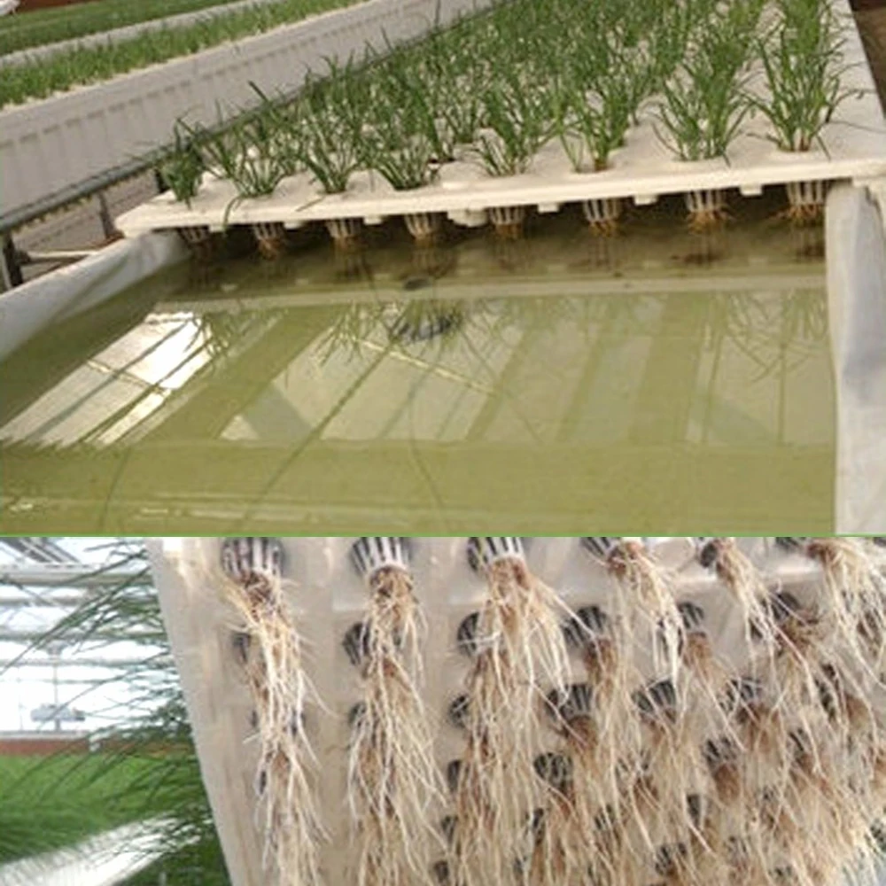 50PCS Plant Net Cup 50PCS Cylinders Sponge For Hydroponics Aquaponics Orchids Plant Starting UV Resistant Plastic Net Cups