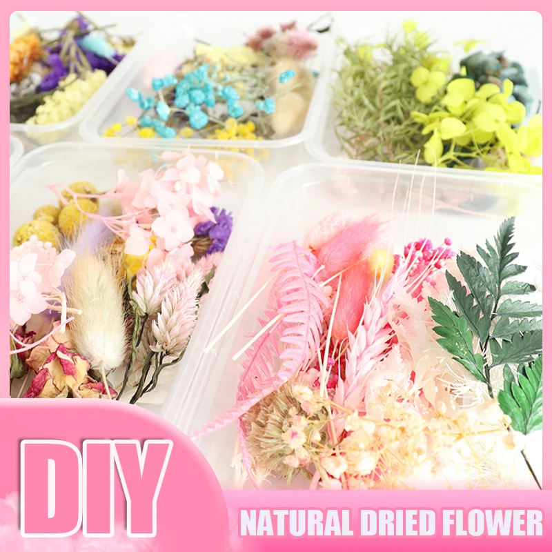 1 Box Real Natural Dried Flower Dry Plants Making Craft DIY Colorful  Aromatherapy Candle Epoxy Resin Jewelry For Home Decoration - AliExpress