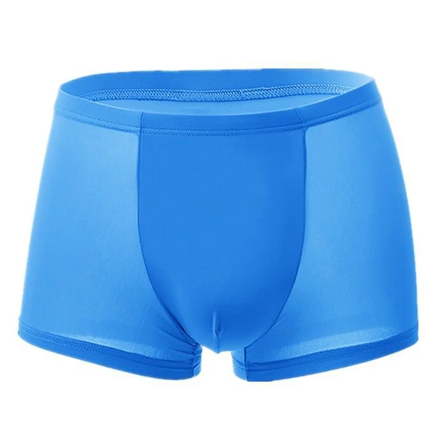 Good Healthy Men Ice Silks Breathable Underwear Seamless Quick Dry Briefs Shorts Trunks Underpants Blue