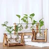 Terrarium Creative Hydroponic Plant Transparent Vase, Wooden Frame, Glass Tabletop, Bonsai Decor, Flower Vase 3