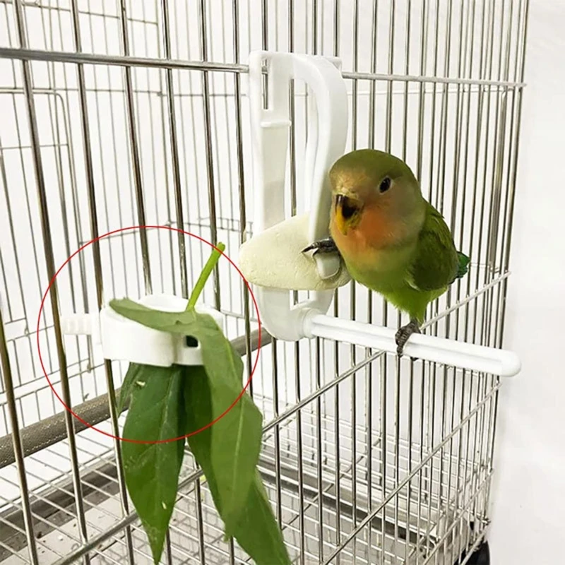 Bird Feeder Parrot Feeder 3 Packs Bird Fruit Holder Vegetable Treat Feeder Plastic Clips Cage Accessories Parakeets Hamsters