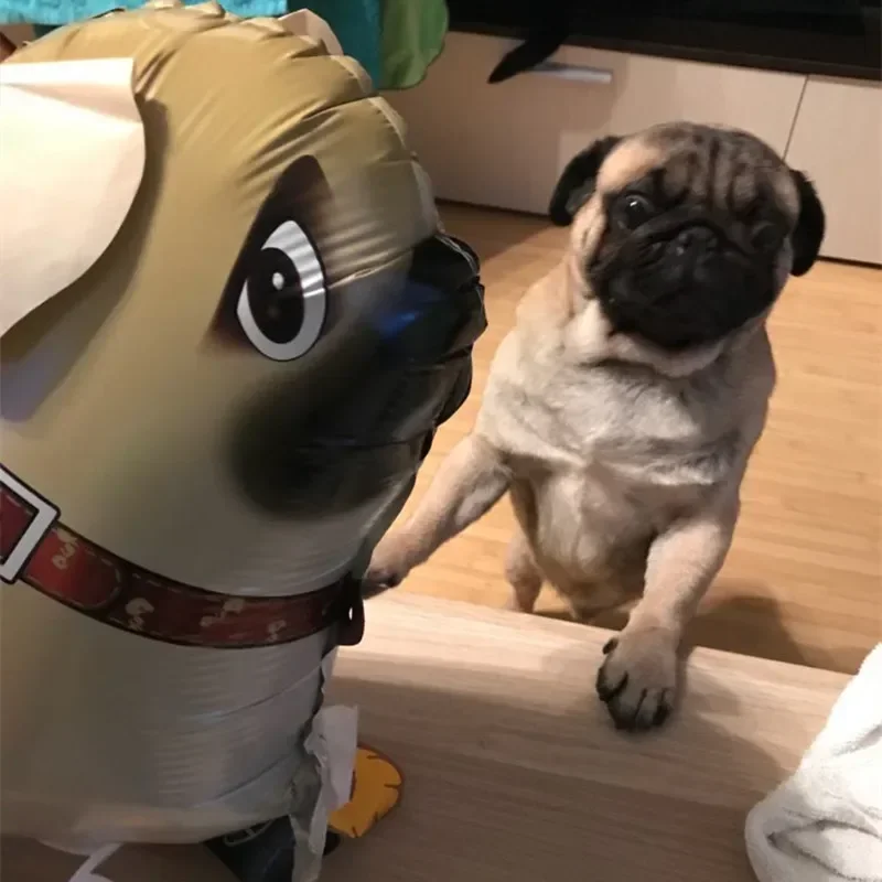 Walking Animal Helium Balloon Different Shapes Dog Foil Balloon Birthday Party Decorations Kids Baby Shower Gift Toy Air Globos