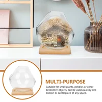 Micro Landscape Ecological Bottle Terrarium Glass Florarium Plants for Flower Pot Succulent Vase Flowers 2