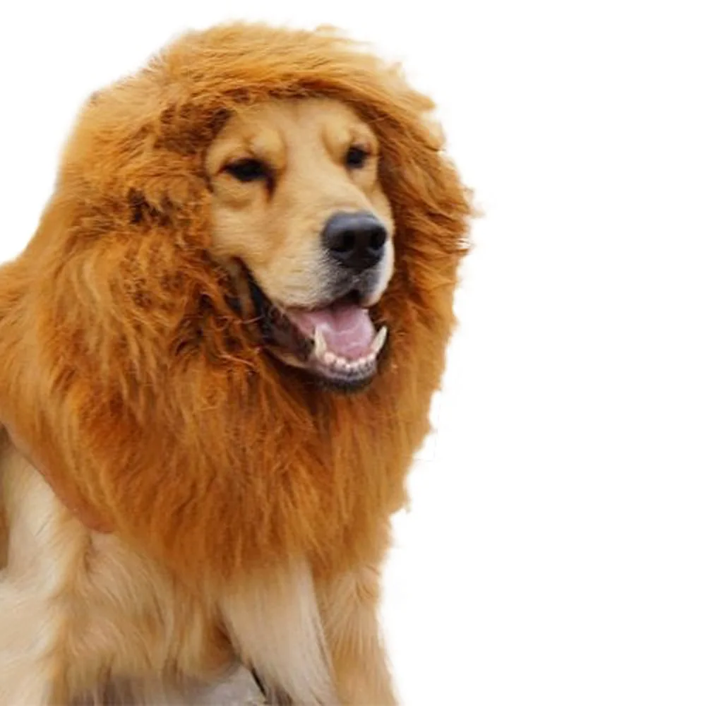 Hond Lion Mane Pruik Haar Decor Hond Pruik Haar Kostuum Voor Grote Medium Kleine Hond Halloween Gift Cosplay Grappige hoed Pet Apparel