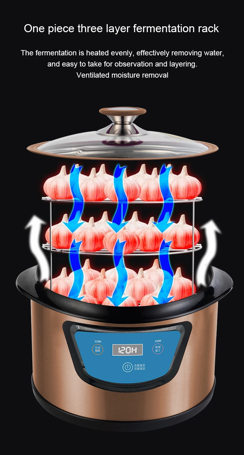 DMWD Automatic Black Garlic Fermenter 6L Home DIY Multifunctional Zymolysis Yogurt Maker Natto Rice Wine Machine Garlics Maker