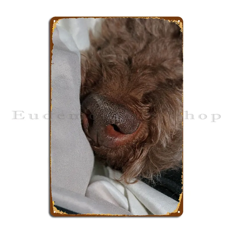 Lagotto Romagnolo Face Metal Platform Bar Club Stampa Personalizzata Wall Pub Tin Sign Poster