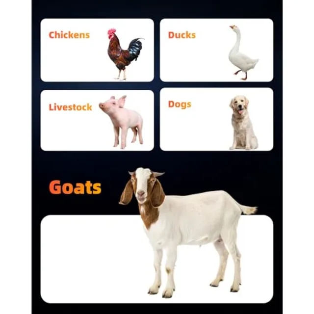 10 Pack Hanging Goat Feeder and Duck Feed Trough, 5 Qt Fence Mounted Livestock Manger Heavy Duty Plastic Mineral Bucket and Wat