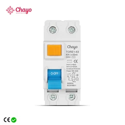 Dual Pole Electromechanical Residual Current Circuit Breaker with Safety Switch - 63A