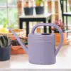 Watering Can Water Can for Plants with Sprinkler Head 2L Long Mouth Watering Can Flower Watering Can for Outdoor House Plant 4