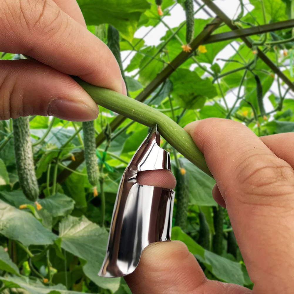 Stainless Steel Bean Picker Rings For Thumb Effortless Harvesting Bean Picker For Pepper Fruits Veggies