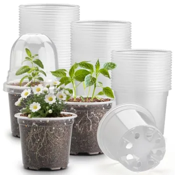 Seedling Pots with Domes 1
