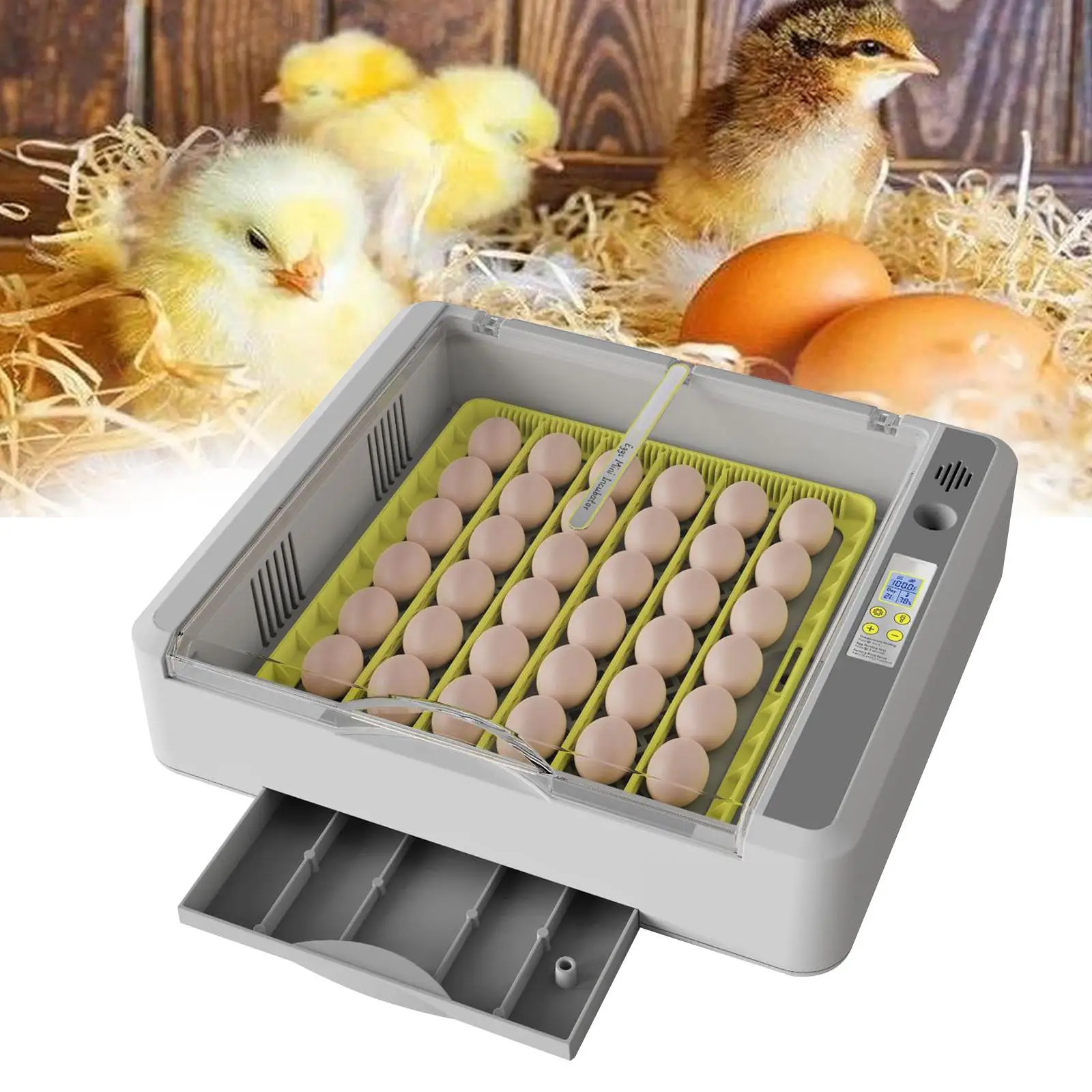 

36 Egg Incubator Lightweight with Automatic Egg Turner for Duck Quail Pigeon