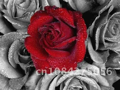 

Diamond Embroidery Portrait Pretty Woman Red Hat &Red Lips Full Square 5D Diamond Painting Mosaic Picture of Rhinestones Decor
