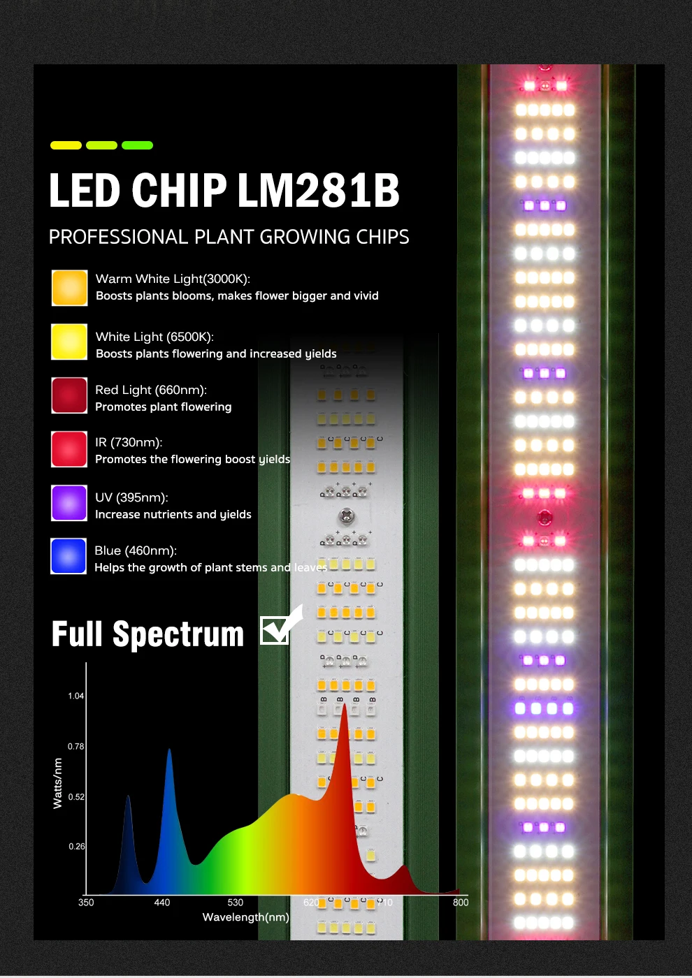 LED Wachsen Licht Vollspektrum Quantum Board Indoor Pflanzung Hydrokultur Gewächshaus Blumensamen Gemüse Anbau Wachstumslampe – Detail 2