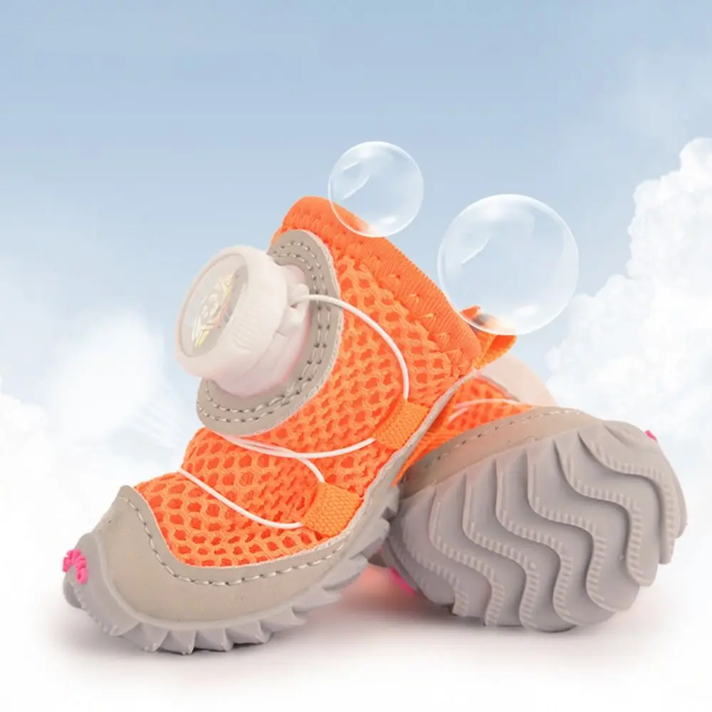 Small dog wearing protective shoes