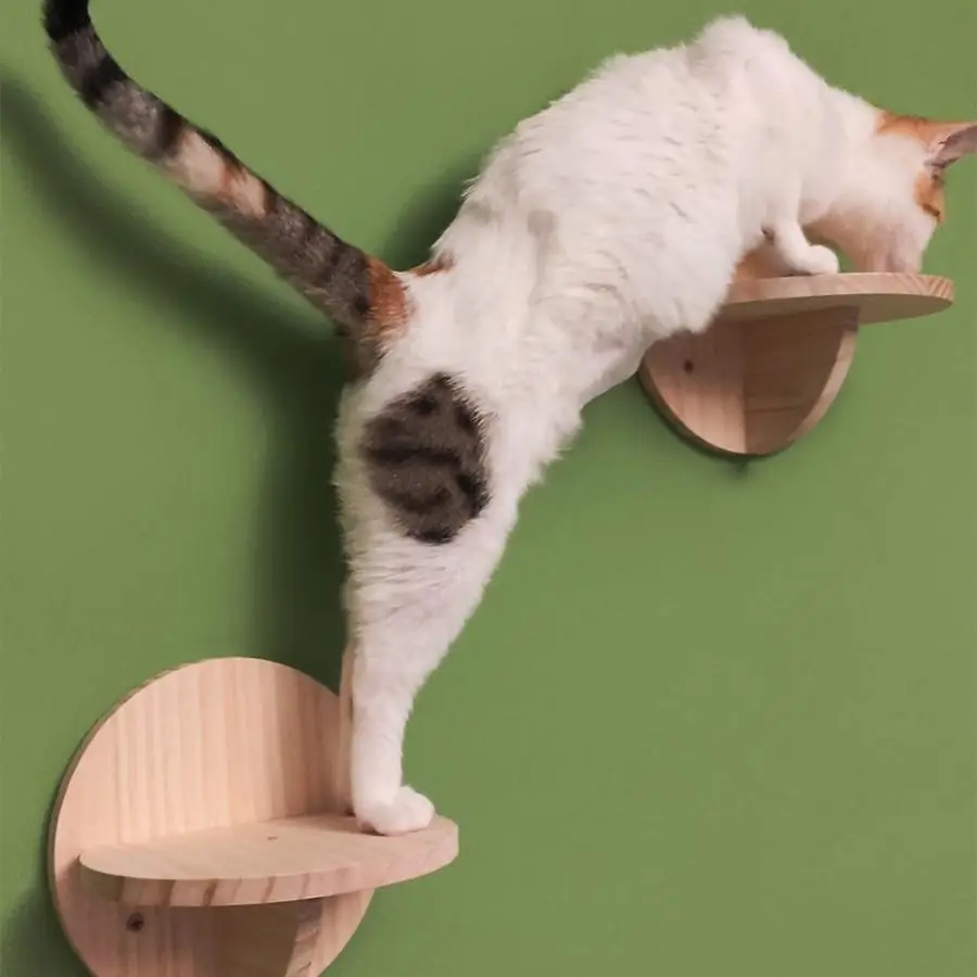 Title 3, 2 Pieces Set Cat Wall Mounted Climbing Wood Sta...