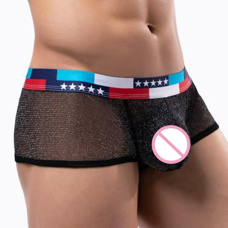 Men's Mesh Boxers Shiny Performance Underwear Ultra-Thin Mesh Perspective Underpants Low Waist Transparent U Convex Panties