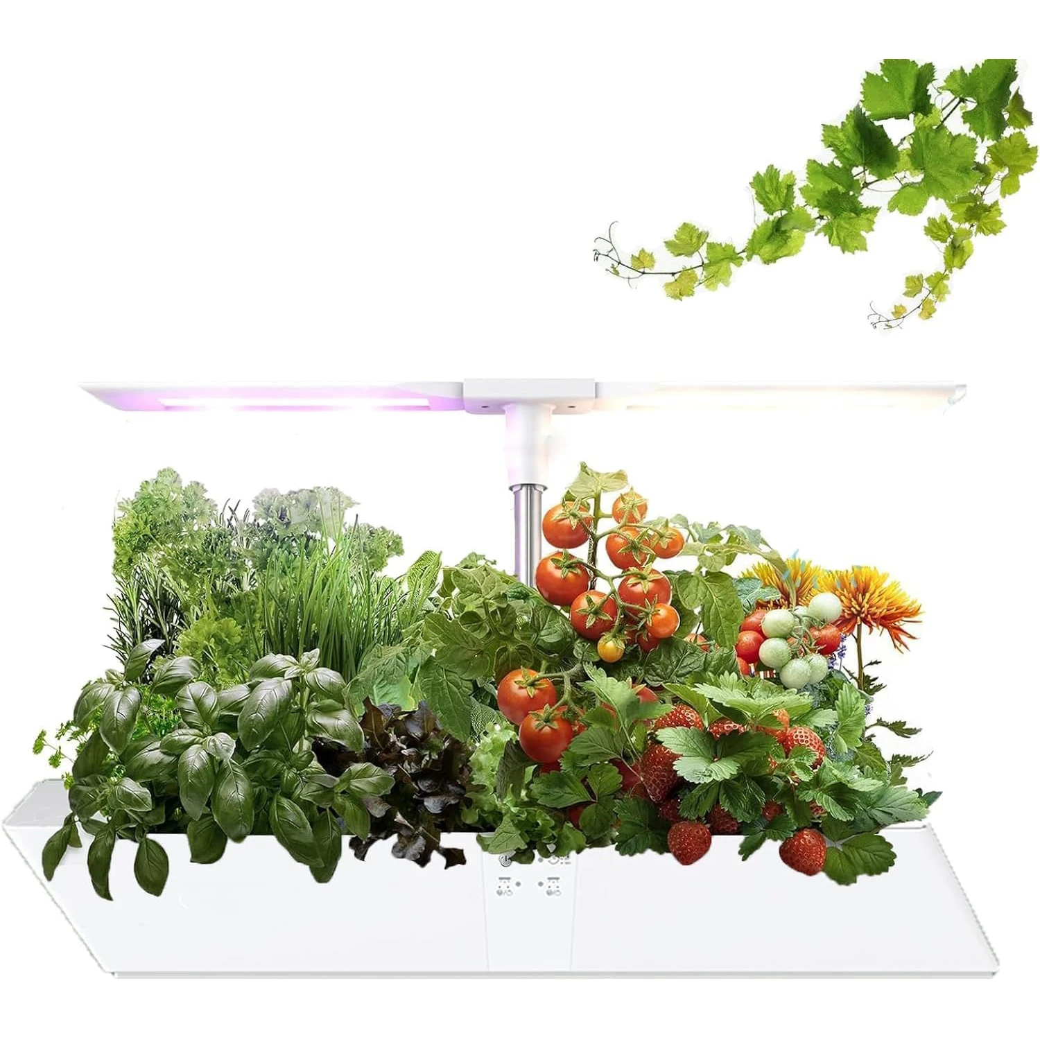 12 Pods Hydroponics Growing System Indoor Garden, Herb Garden Kit Indoor with 24W 5 Color Full Spectrum LED Grow Light