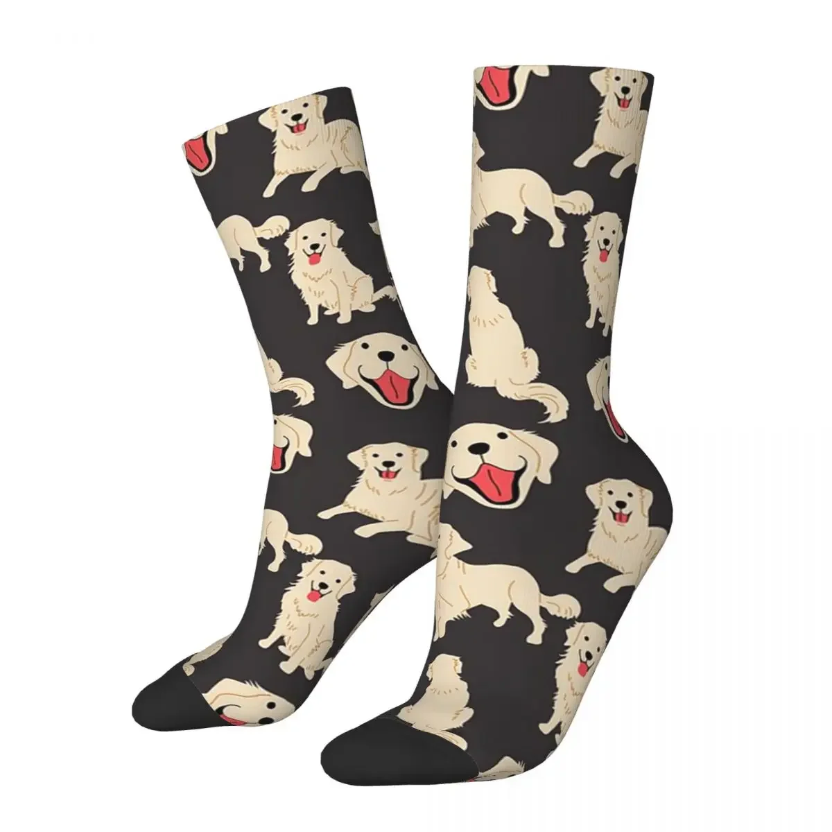 English Cream Golden Retriever - Black Socks High Quality Stockings All  Season Long Socks Accessories for Man's Woman's Gifts - AliExpress 200574005