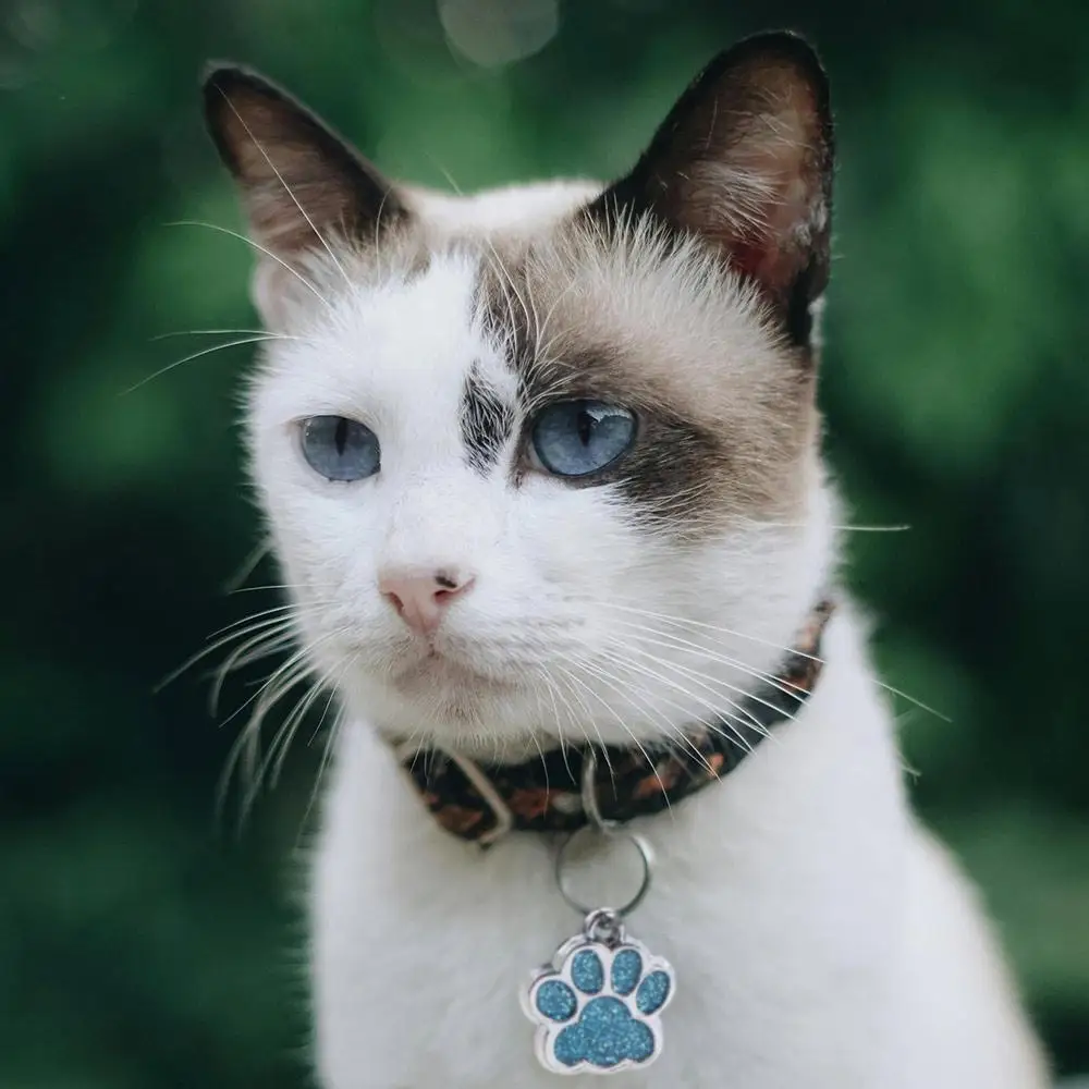 Cat Dog Paw Print Dog Cat Tags Anti-Lost Pet Glitter Pendant with Hook Exquisite Pet Collar Tag Pendant Kitten