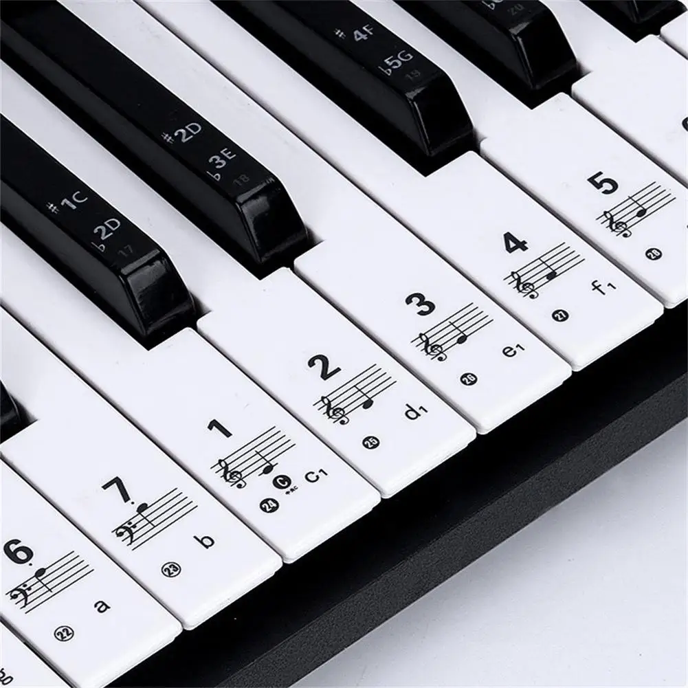 61 Keys Transparent Piano Key Note Stickers | 88 Keys Stickers Keyboard  Piano 61 - Parts & Accessories - Aliexpress
