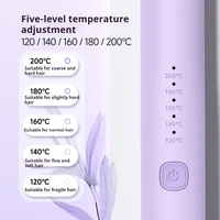 Lisseur et boucleur de cheveux portable 2 en 1, 100 millions d'ions négatifs, 3 couches anti-brûlure, faible puissance 26W, sûr pour les voyages 2