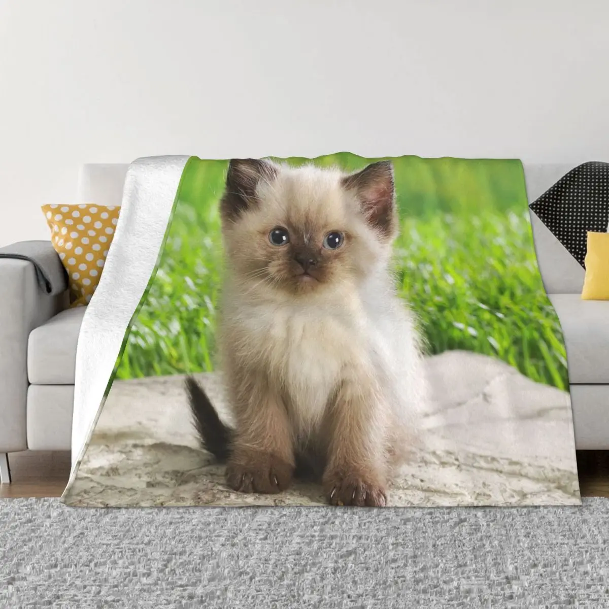 

Зимние одеяла для спальни Siamese Cat 2704, одеяла и пледы