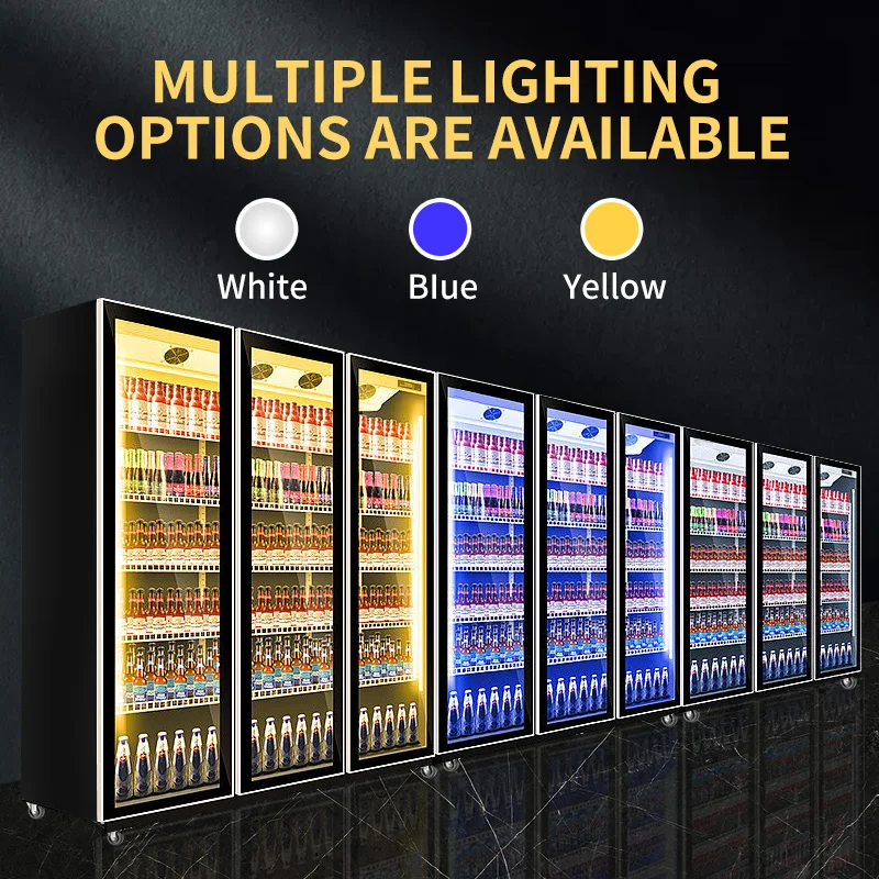 Commercial Display Freezer 2 Door Beverage Cooler Freezer Refrigerator Display Cooler 5