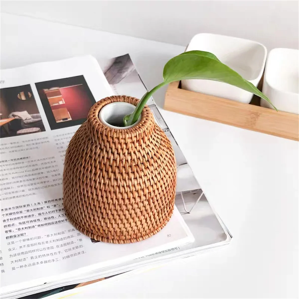 Nordic Style Rattan Vase,Japanese style Porcelain Flower Vases,Tabletop Plants Pot Terrarium for Plants Living Room Home Decor 3