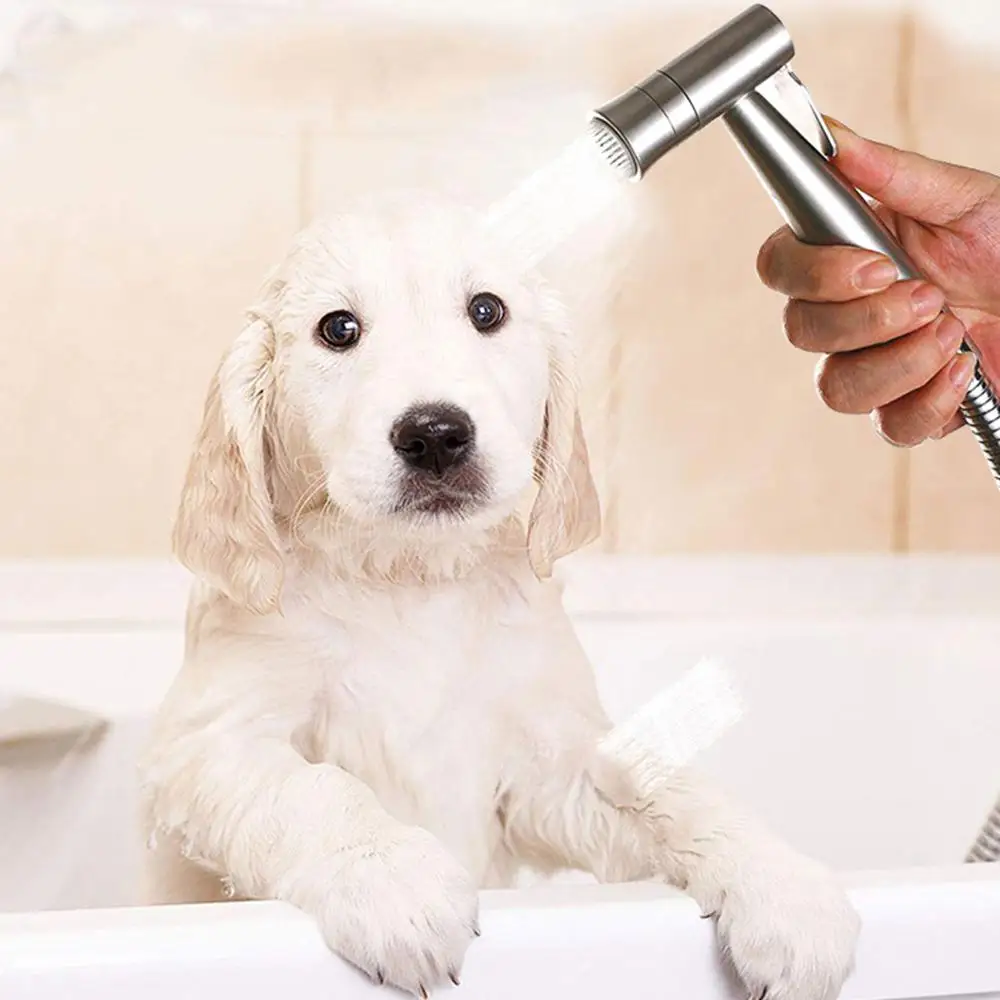 Slide image e9f7bda2513542c4b3f3a33b0ff417eb