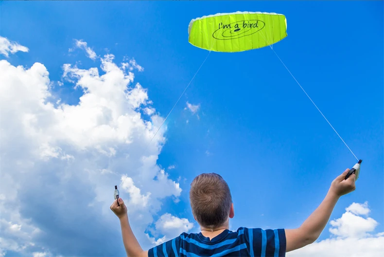Outdoor Fun Sports Power Dual Line Stunt Parafoil Parachute Sports Beach Kite For Beginner Beach Kite Stunt Kite Power Parafoil Kite Parafoil Kite
