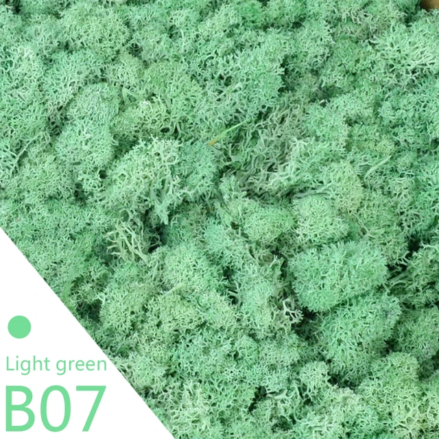 B07