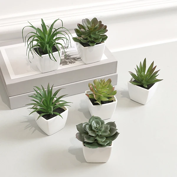 Set of 6 Miniature Evergreen Artificial Succulent Plants in Pots