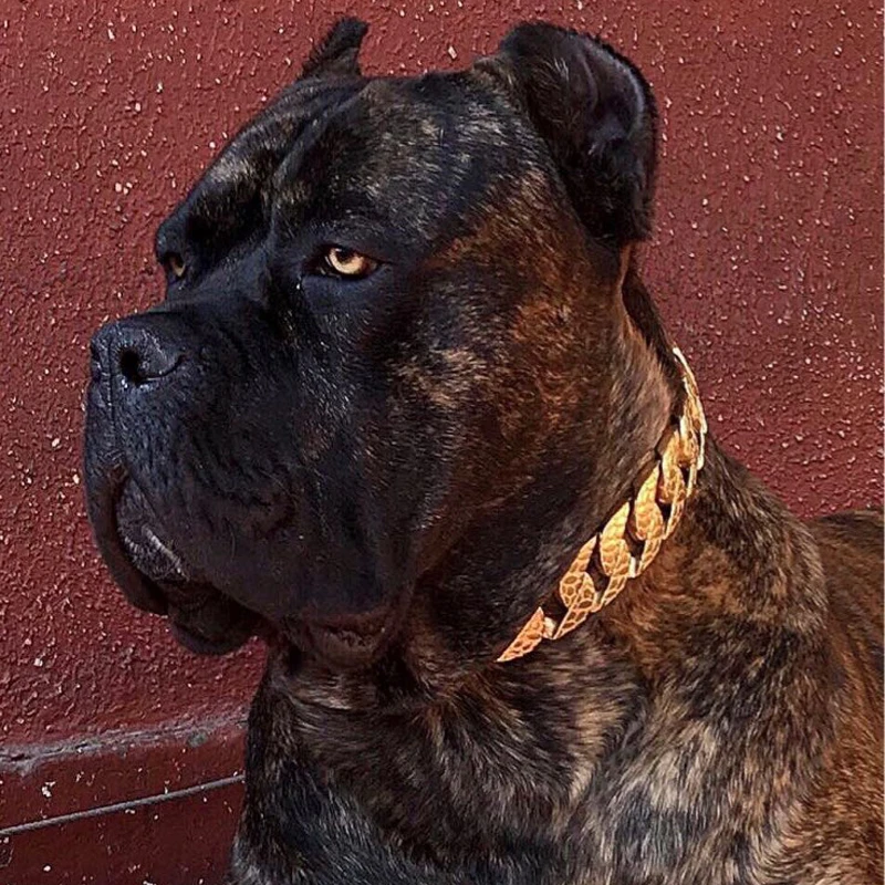 Collare Per Cani A Catena In Oro Rosa 15 Mm 18 K Oro Cubano Link Collare Per Cani Con Fibbia Sicura A Scatto Catena Dorata Collare In Metallo Per Piccoli E Medi - Foto 3