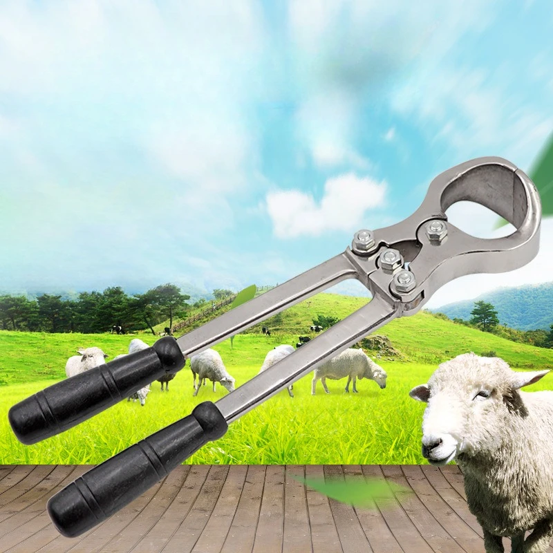 Bloodless Castration Forceps for Ram Stainless Steel Sheep Animal Equipment Meat Tenderizer