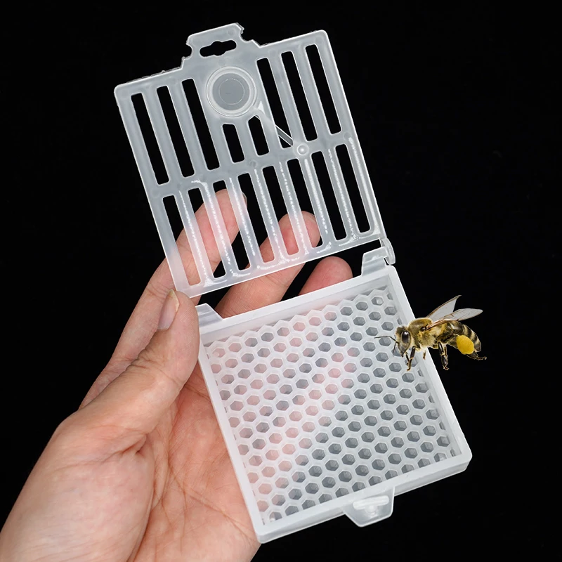 Beekeeping-Transport-Queen-Cages-New-Design-Bee-Post-Cage-Transparent ...