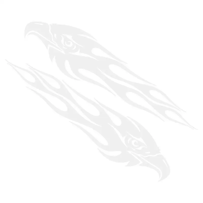 

Наклейки для мотоцикла с орлом, 2 шт.