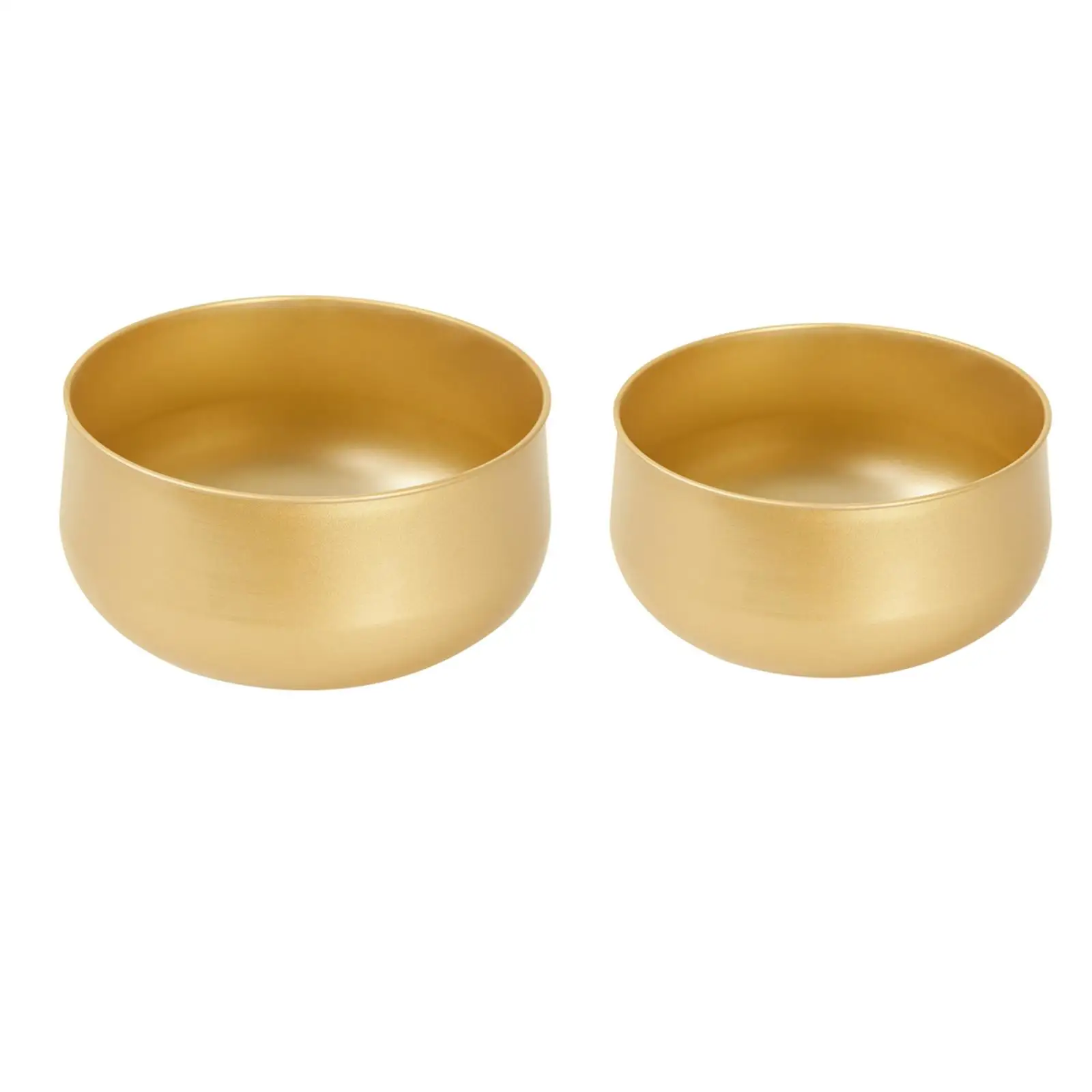 

Golden Succulent Containers Cactus Plant Pots for Office Living Room Decor