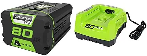

80V 2.0Ah Lithium-Ion Battery (Genuine Battery) & PRO 80V Rapid Charger (Genuine Charger)