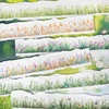 1Roll 2M PET Handbook Recycled Tape Planting Diary Glitter Sand Botanical Stickers Adhesives Round Stickers Scrapbook 30mm*2m 4